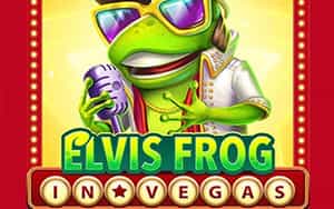 Elvis Frog in Vegas